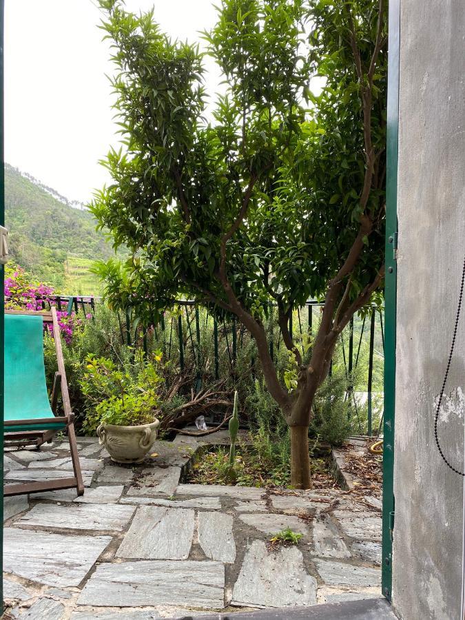 Cottage La Terrazza Levanto Luaran gambar